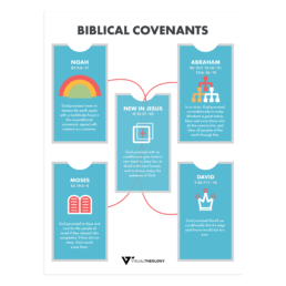 Biblical Covenants – Visual Theology